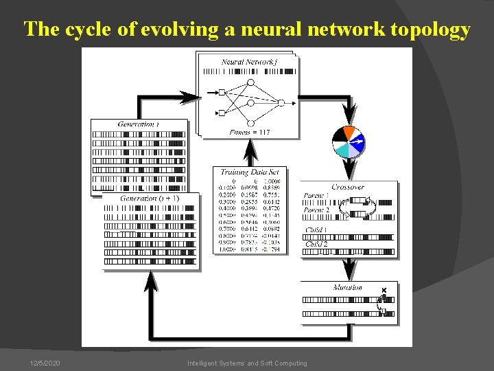 The cycle of evolving a neural network topology 12/5/2020 Intelligent Systems and Soft Computing