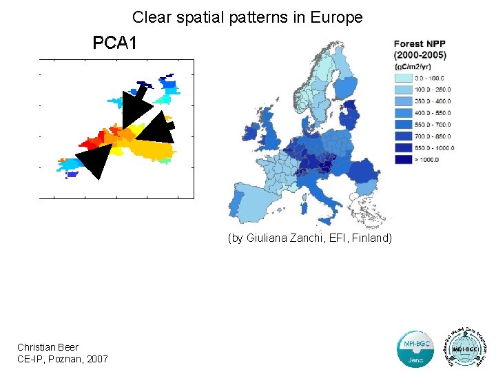 Clear spatial patterns in Europe (by Giuliana Zanchi, EFI, Finland) Christian Beer CE-IP, Poznan,