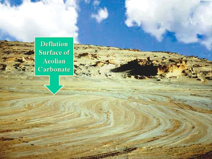Deflation Surface of Aeolian Carbonate 