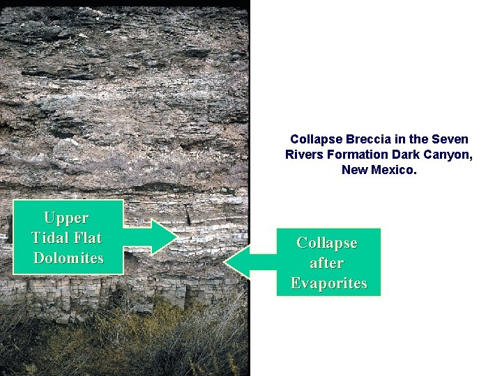Collapse Breccia in the Seven Rivers Formation Dark Canyon, New Mexico. Upper Tidal Flat