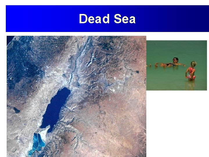 Dead Sea 