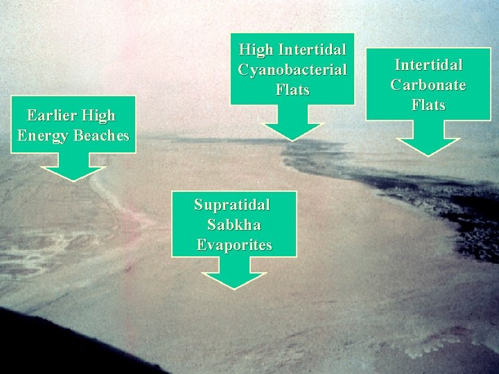 High Intertidal Cyanobacterial Flats Earlier High Energy Beaches Supratidal Sabkha Evaporites Intertidal Carbonate Flats