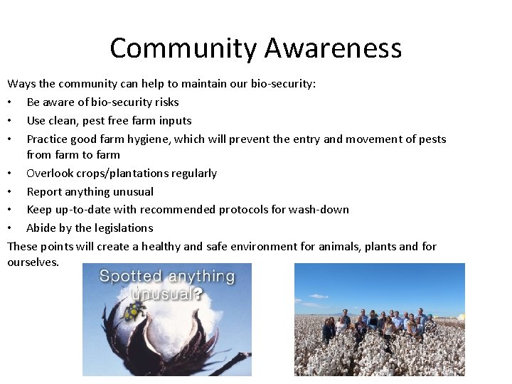 Community Awareness Ways the community can help to maintain our bio-security: • Be aware