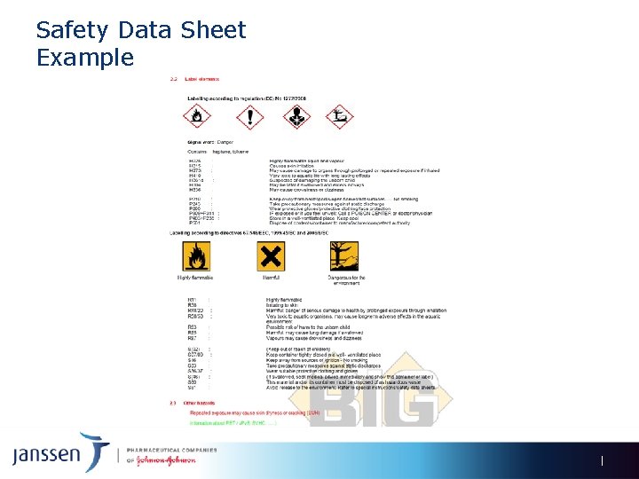 Safety Data Sheet Example 