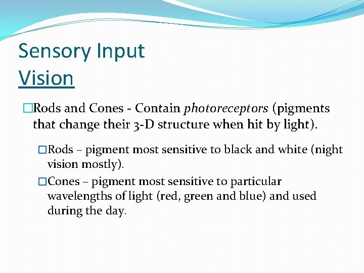 Sensory Input Vision �Rods and Cones - Contain photoreceptors (pigments that change their 3