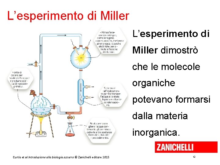 L’esperimento di Miller dimostrò che le molecole organiche potevano formarsi dalla materia inorganica. Curtis