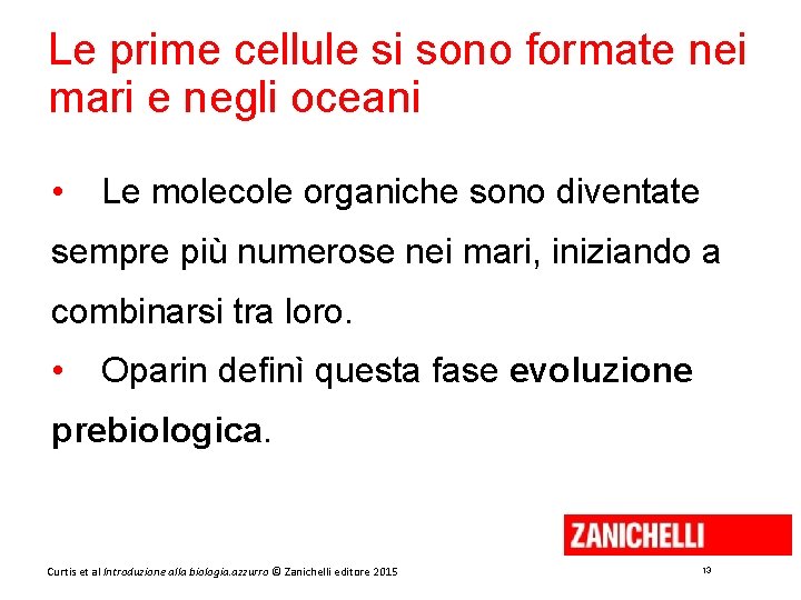 Le prime cellule si sono formate nei mari e negli oceani • Le molecole