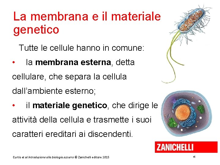 La membrana e il materiale genetico Tutte le cellule hanno in comune: • la