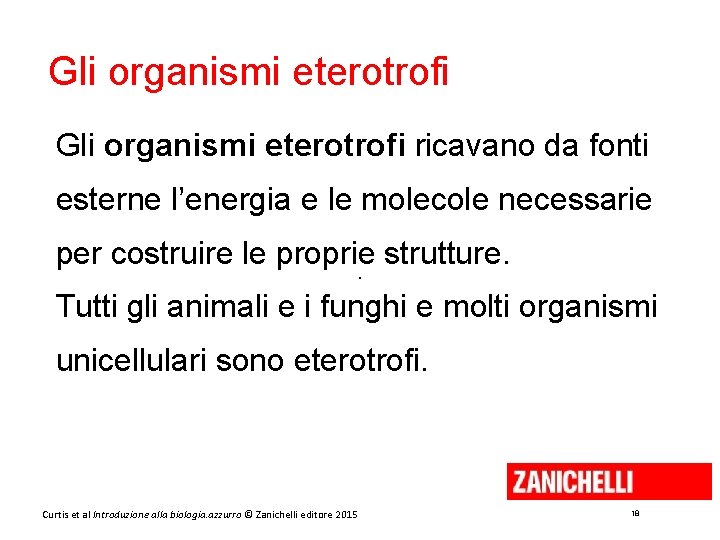 Gli organismi eterotrofi ricavano da fonti esterne l’energia e le molecole necessarie per costruire