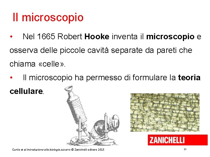 Il microscopio • Nel 1665 Robert Hooke inventa il microscopio e osserva delle piccole