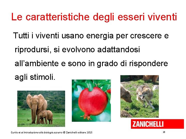 Le caratteristiche degli esseri viventi Tutti i viventi usano energia per crescere e riprodursi,