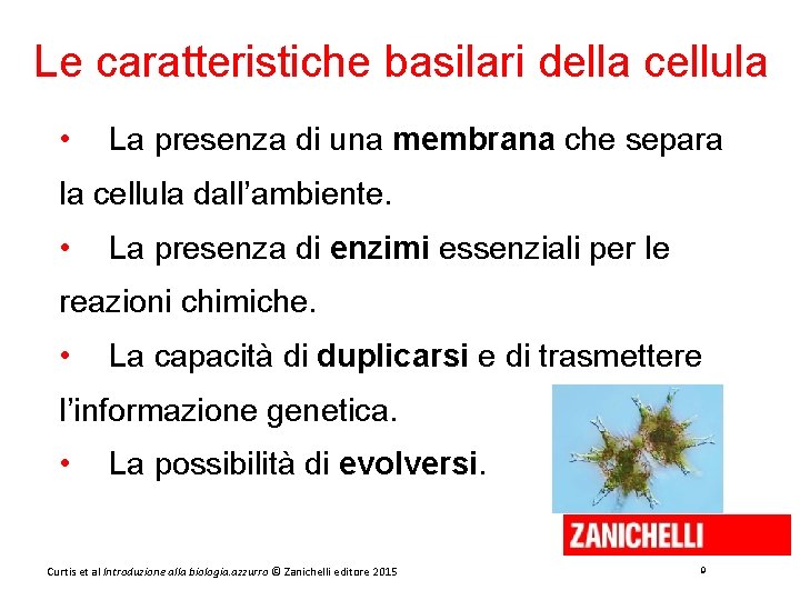 Le caratteristiche basilari della cellula • La presenza di una membrana che separa la