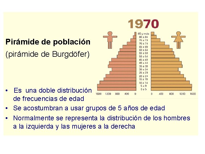 Pirámide de población (pirámide de Burgdöfer) • Es una doble distribución de frecuencias de