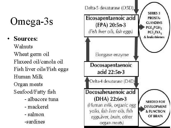 Omega-3 s • Sources: Walnuts Wheat germ oil Flaxeed oil/canola oil Fish liver oils/Fish