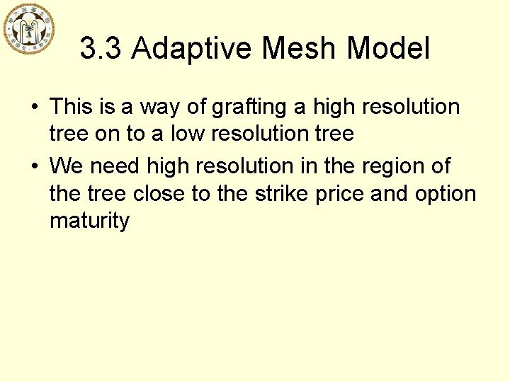 3. 3 Adaptive Mesh Model • This is a way of grafting a high