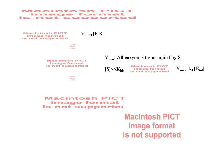 V=k 3 [E-S] Vmax: All enzyme sites occupied by S [S]>>KM, Vmax=k 3 [Etot]