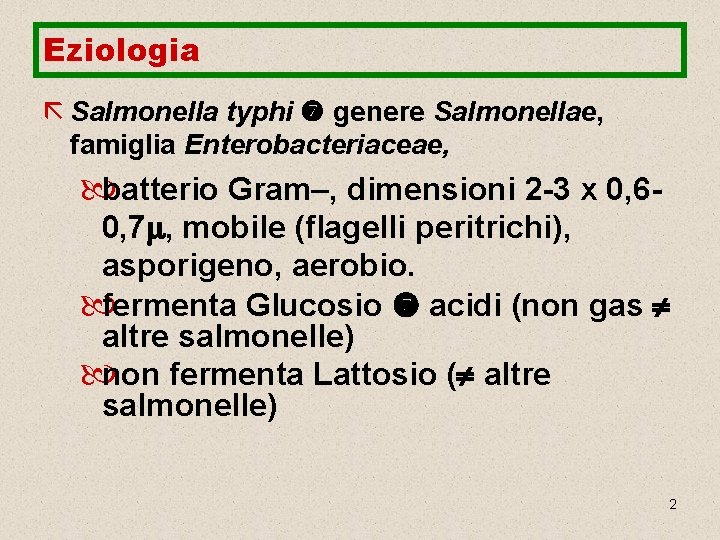 Eziologia ã Salmonella typhi genere Salmonellae, famiglia Enterobacteriaceae, batterio Gram–, dimensioni 2 -3 x