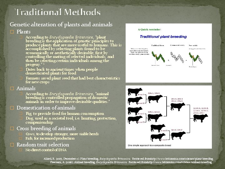 Traditional Methods Genetic alteration of plants and animals � Plants � According to Encyclopaedia