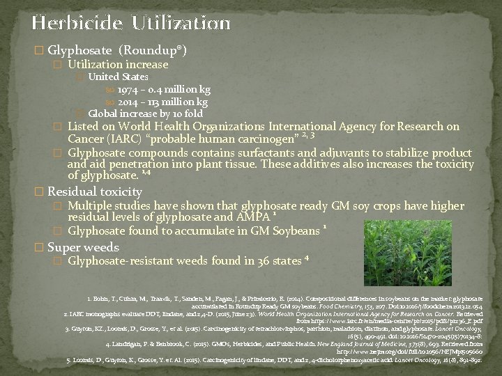 Herbicide Utilization � Glyphosate (Roundup®) � Utilization increase � United States 1974 – 0.