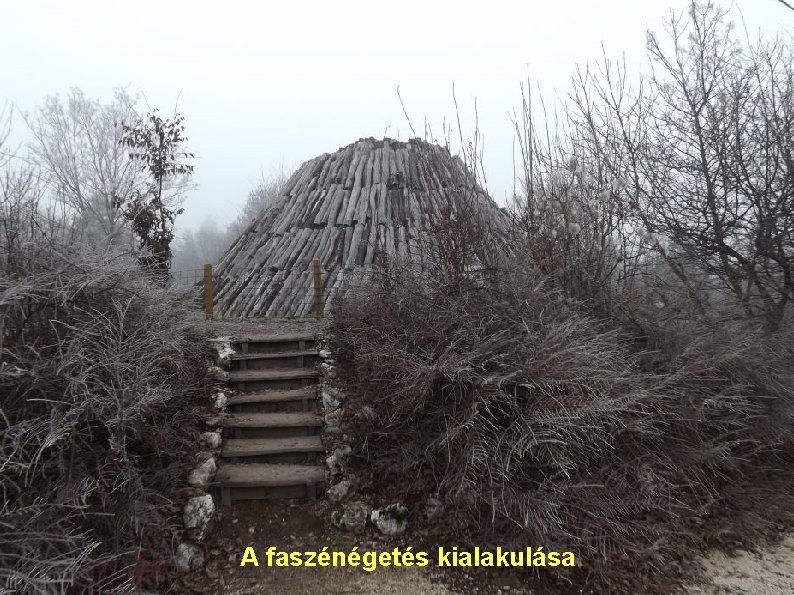 A faszénégetés kialakulása 