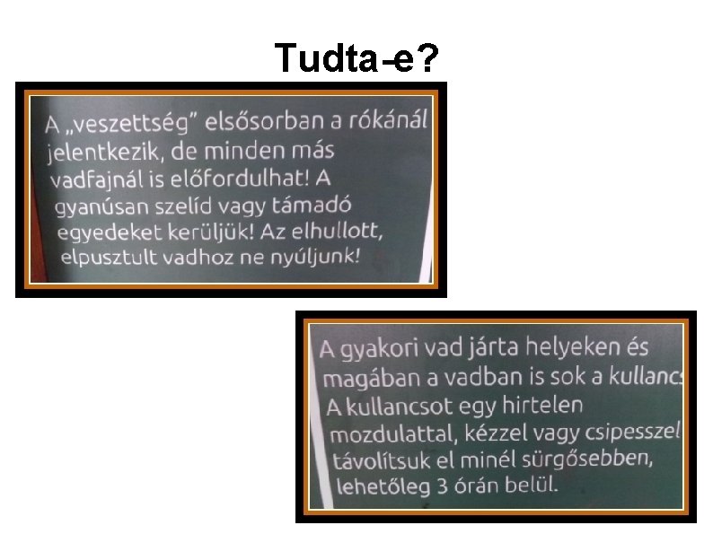 Tudta-e? 