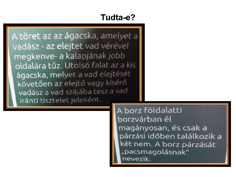 Tudta-e? 