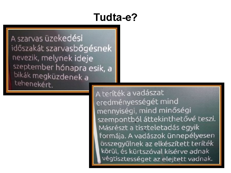 Tudta-e? 