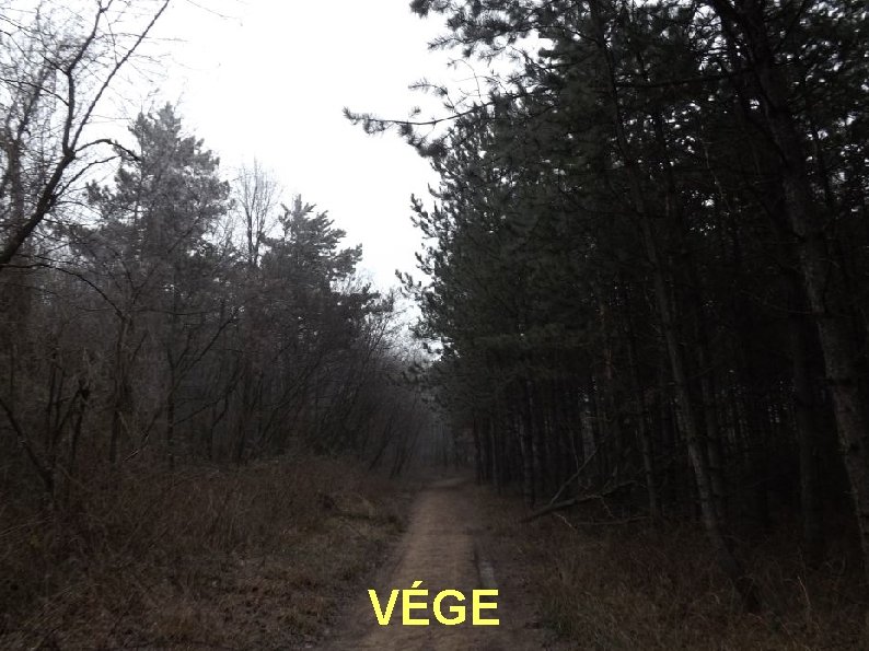 VÉGE 