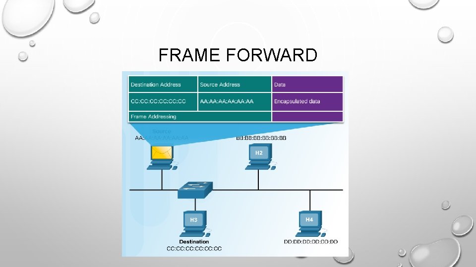 FRAME FORWARD 
