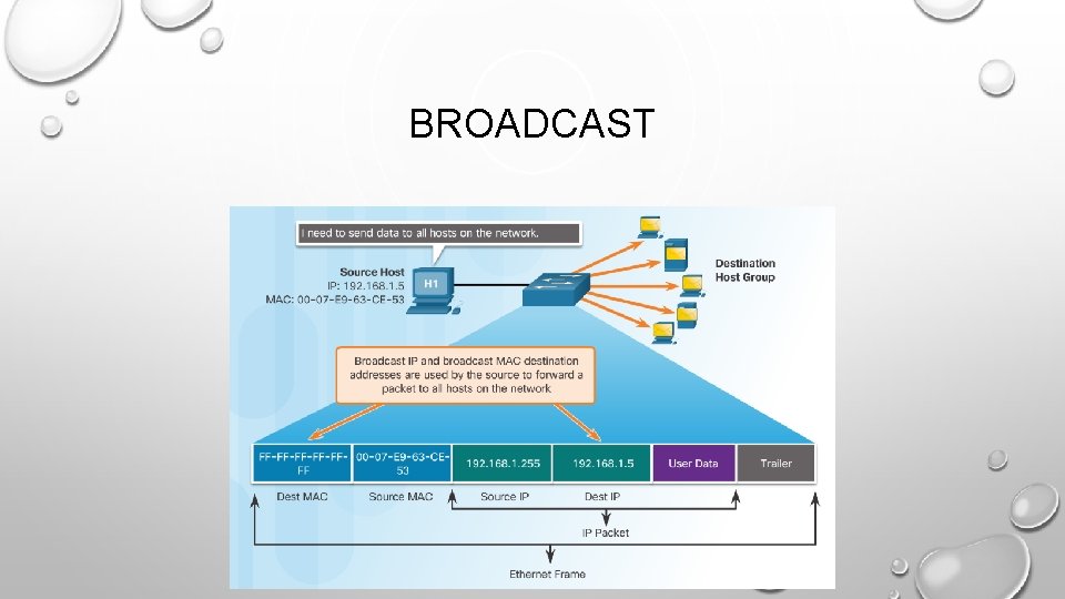 BROADCAST 
