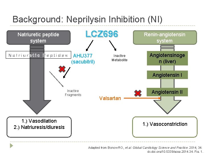 Background: Neprilysin Inhibition (NI) LCZ 696 Natriuretic peptide system AHU 377 (sacubitril) Inactive Metabolite