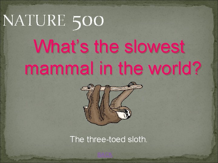 NATURE 500 What’s the slowest mammal in the world? The three-toed sloth. BACK 