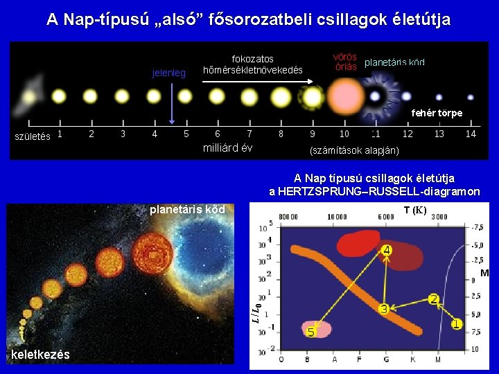 A Nap-típusú „alsó” fősorozatbeli csillagok életútja jelenleg fokozatos hőmérsékletnövekedés vörös óriás planetáris köd fehér