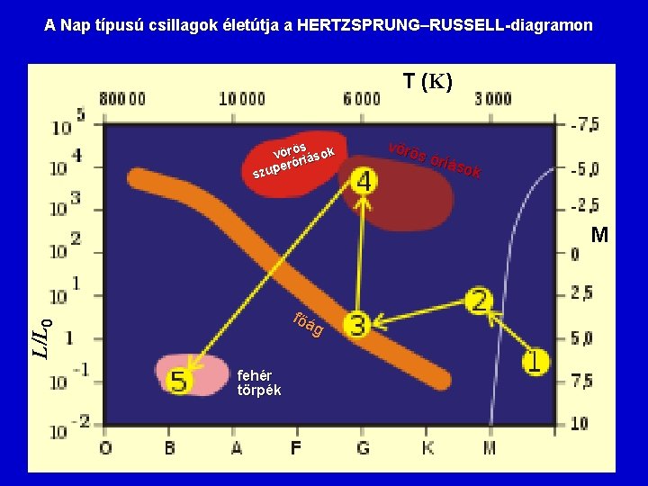A Nap típusú csillagok életútja a HERTZSPRUNG RUSSELL-diagramon T (K) s vöröriások eró szup