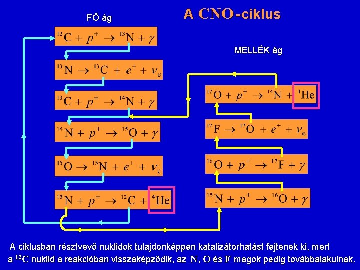FŐ ág A CNO - ciklus MELLÉK ág A ciklusban résztvevő nuklidok tulajdonképpen katalizátorhatást