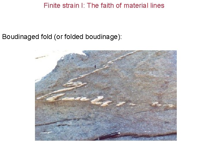 Finite strain I: The faith of material lines Boudinaged fold (or folded boudinage): 