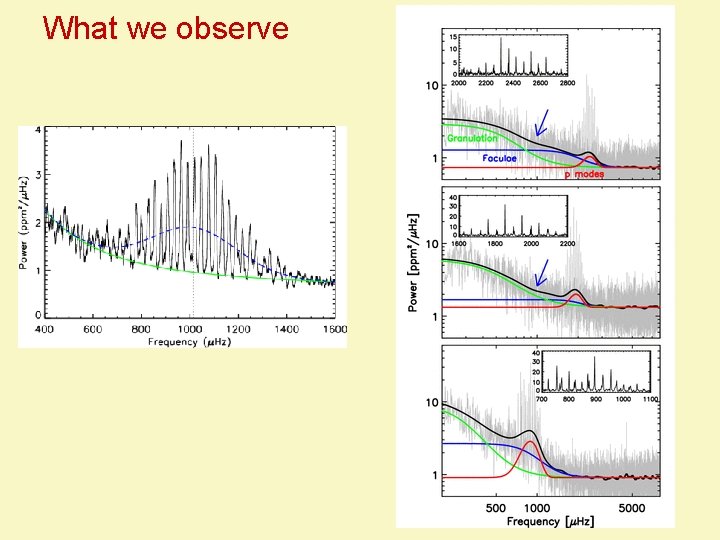 What we observe 