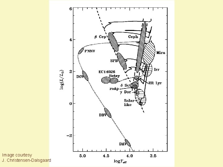 Image courtesy J. Christensen-Dalsgaard 