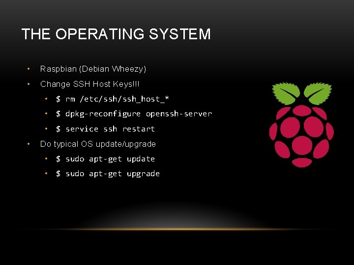 THE OPERATING SYSTEM • Raspbian (Debian Wheezy) • Change SSH Host Keys!!! • $