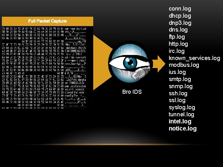 Bro IDS conn. log dhcp. log dnp 3. log dns. log ftp. log http.