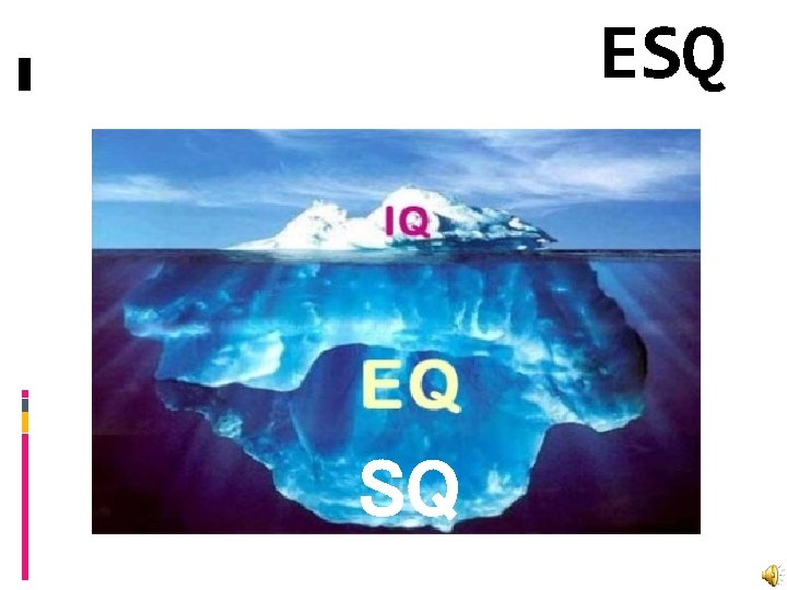 ESQ SQ 