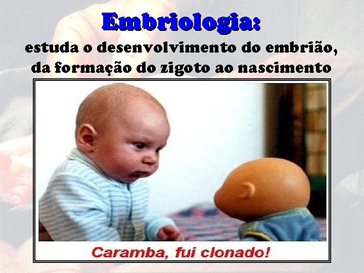 Embriologia: estuda o desenvolvimento do embrião, da formação do zigoto ao nascimento 