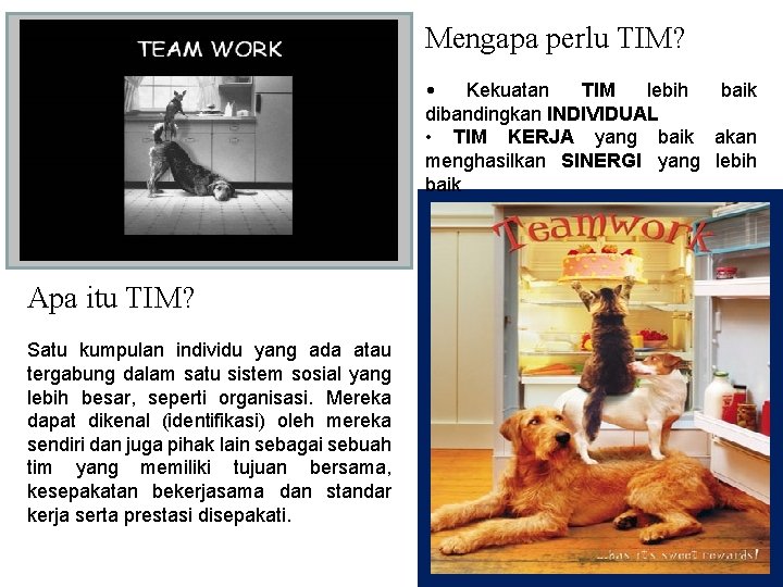 Mengapa perlu TIM? • Kekuatan TIM lebih baik dibandingkan INDIVIDUAL • TIM KERJA yang