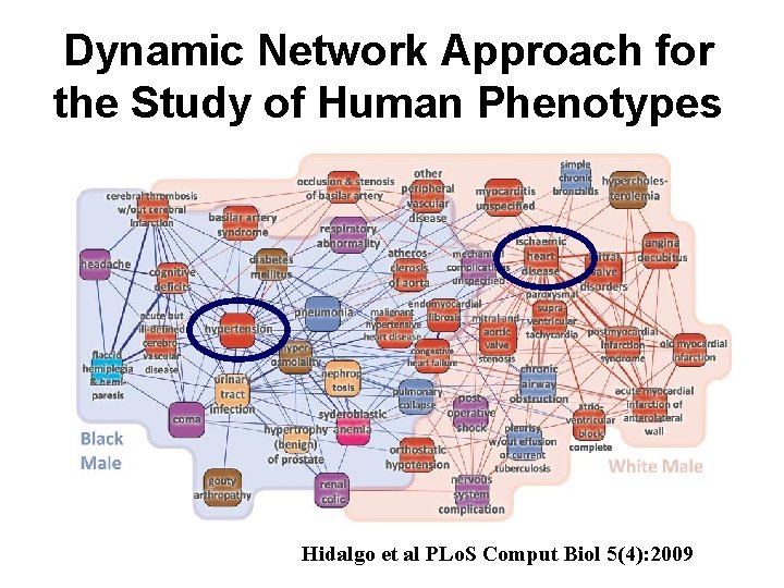 Dynamic Network Approach for the Study of Human Phenotypes Hidalgo et al PLo. S