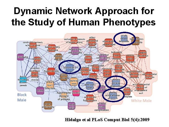 Dynamic Network Approach for the Study of Human Phenotypes Hidalgo et al PLo. S