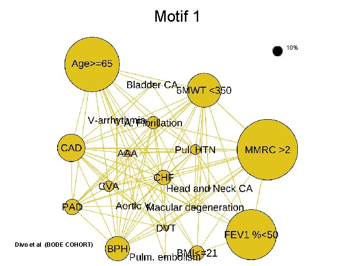 Motif 1 10% Divo et al (BODE COHORT) 
