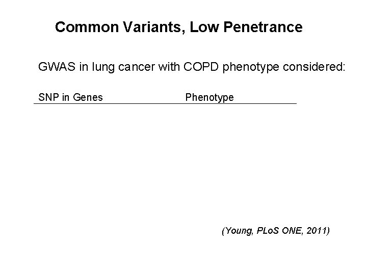 Common Variants, Low Penetrance GWAS in lung cancer with COPD phenotype considered: SNP in