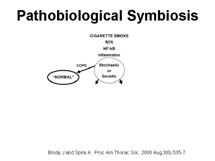 Pathobiological Symbiosis Brody J and Spira A. Proc Am Thorac Soc. 2006 Aug; 3(6):
