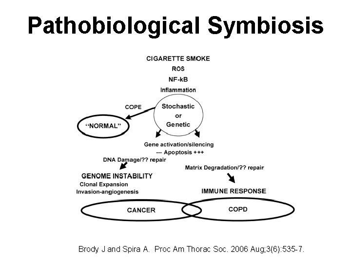 Pathobiological Symbiosis Brody J and Spira A. Proc Am Thorac Soc. 2006 Aug; 3(6):