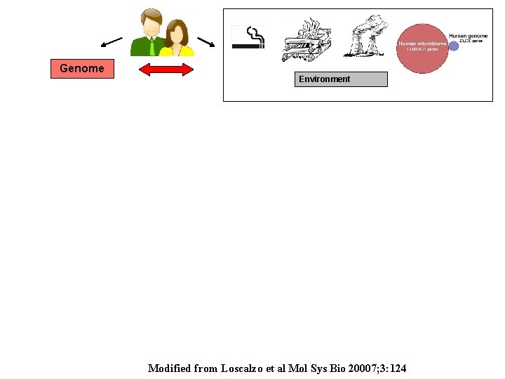 Genome Environment Modified from Loscalzo et al Mol Sys Bio 20007; 3: 124 